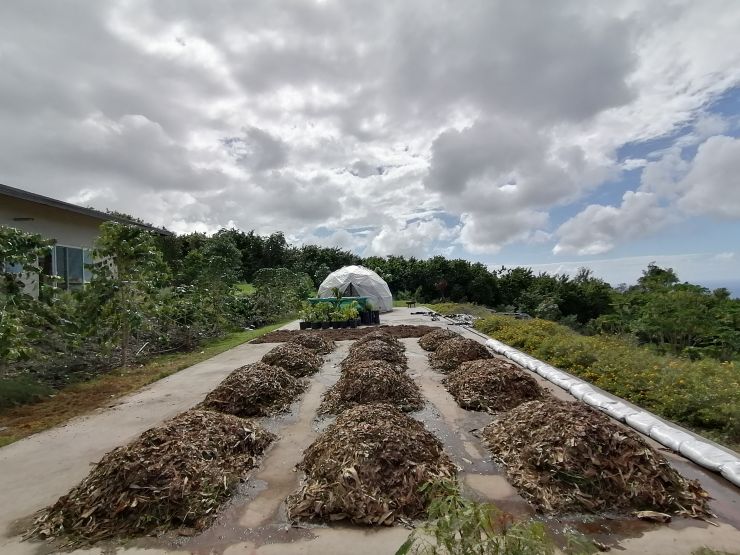 Composting Trials Composting Trials, including different piles of test material, and a control