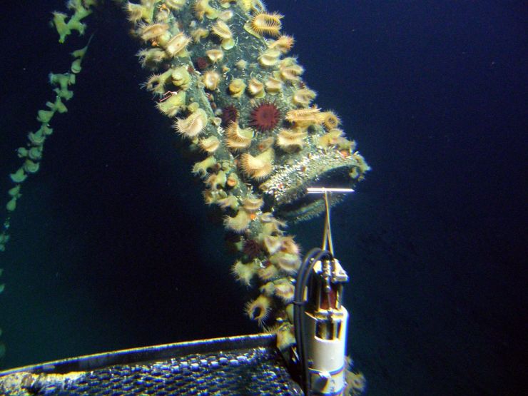 18" pipeline intake at 623m depth 18" pipeline intake at 623m depth