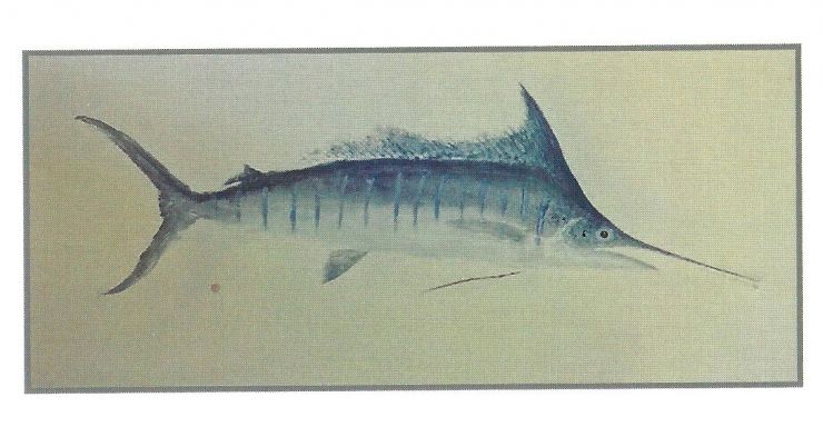 Twibell Billfish printed billfish