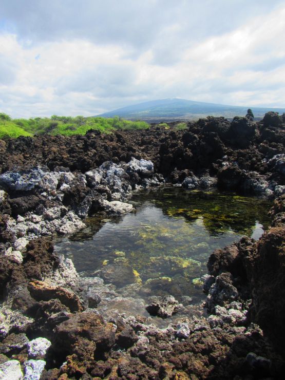 Anchialine Pool at Kekaha Kai State Park Anchialine Pool at Kekaha Kai State Park